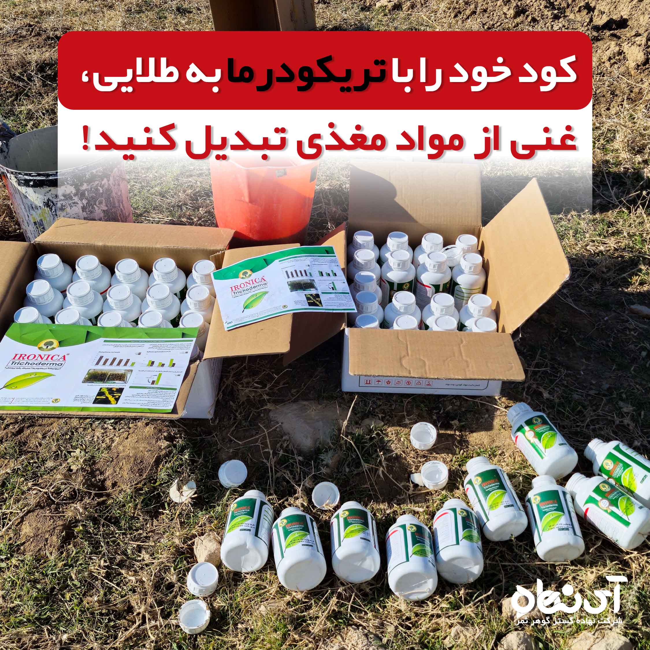 کود خود را با تریکودرما به طلایی غنی از مواد مغذی تبدیل کنید